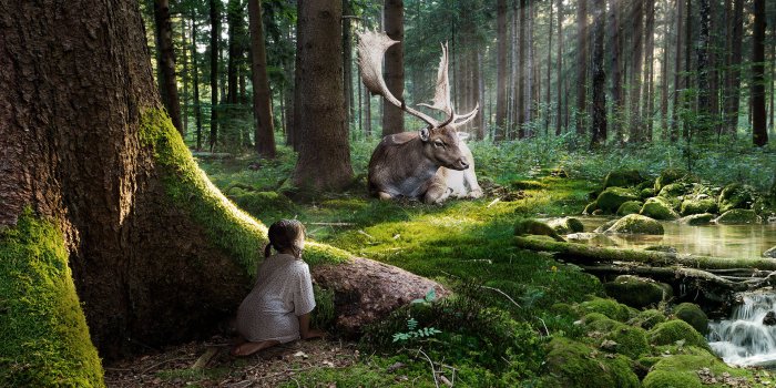 1920x1200 100+] Enchanted Forest Wallpapers