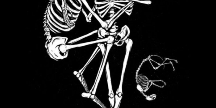 1183x2560 Black Wallpapers - Skeleton Wallpaper