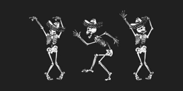 720x1280 Skeleton Wallpaper Explore more Animal