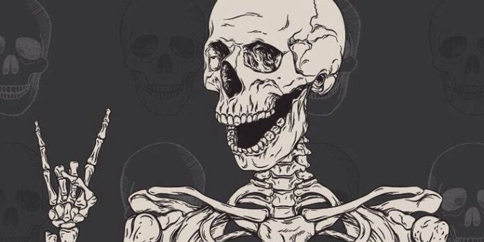 736x1309 100+] Cute Skeleton Wallpapers