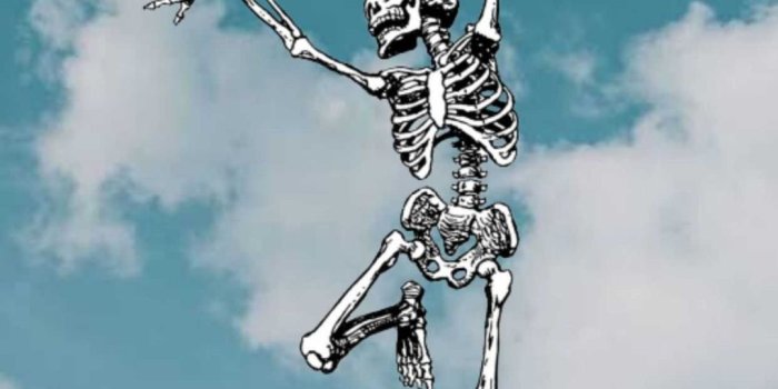 1080x1920 Top 30 Best Skeleton Wallpapers [ HQ ]