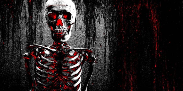 1920x1080 Download Skeleton Wallpapers for FREE