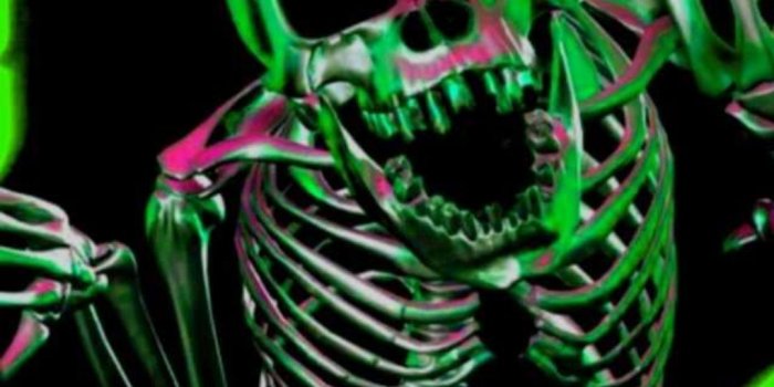1080x1920 Top 30 Best Skeleton Wallpapers [ HQ ]