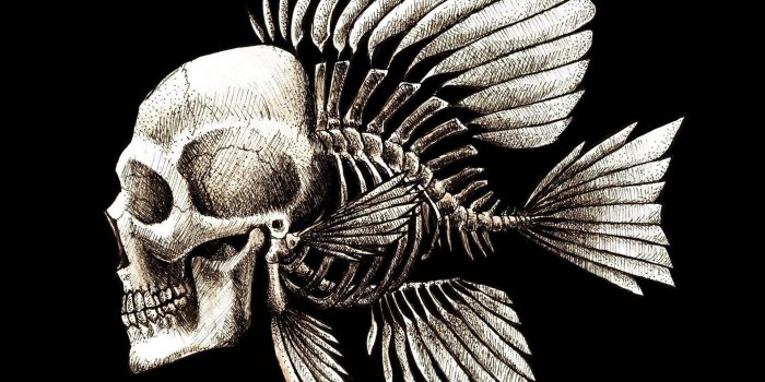 1920x1200 400+] Skeleton Wallpapers | Wallpapers.com