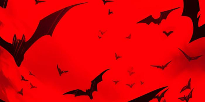 1181x2560 Bats in Red Sky Halloween Wallpapers