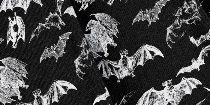 736x1380 This Black bats fabric is perfect for