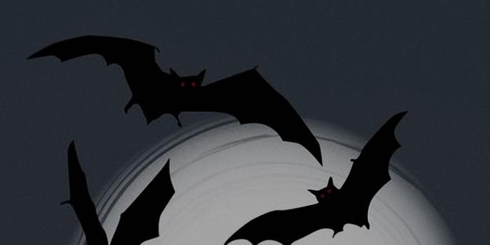 736x1840 Halloween wallpaper iphone backgrounds