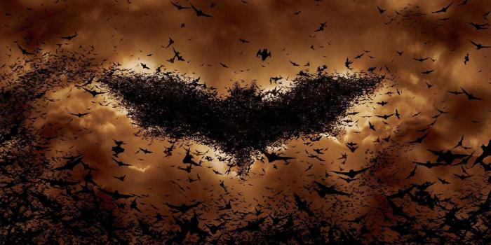 1920x1080 Bats Wallpapers