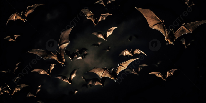 1200x673 Many Bats Flying In The Dark Background