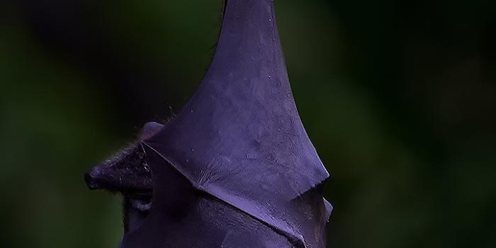 720x1280 Upside down by mommam 777