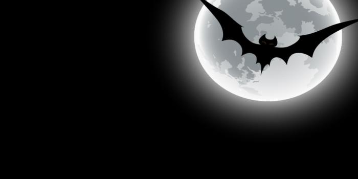 2560x1600 Bat Wallpapers - Top Free Bat