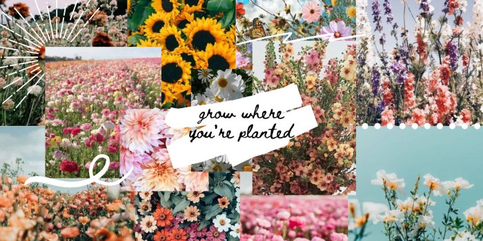 1920x1321 200+] Spring Aesthetic Wallpapers