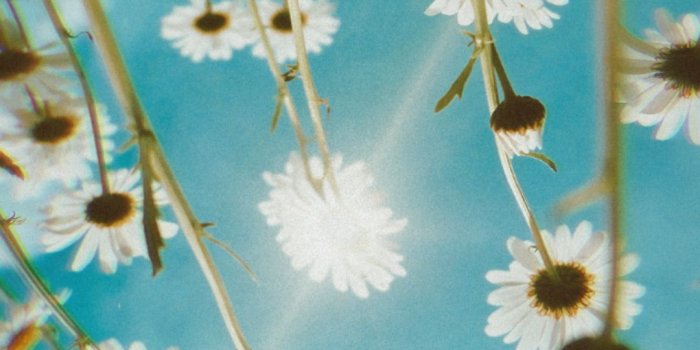 1080x1920 Free Aesthetic Wallpaper | Spring