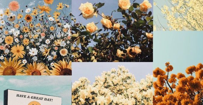 675x1200 Aesthetic Collage Spring Wallpapers