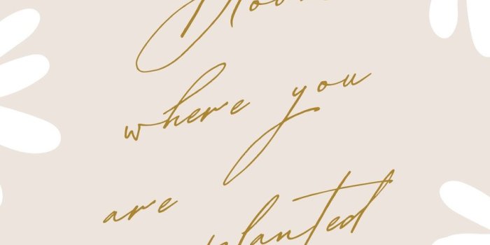 900x1600 Spring Aesthetic Phone Wallpaper