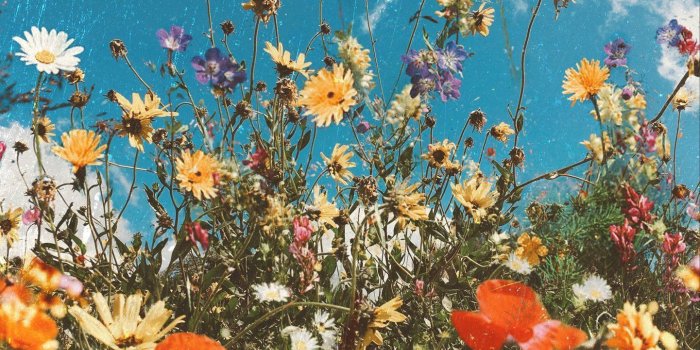 1441x1920 Download Aesthetic Spring Season