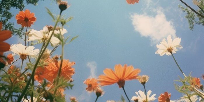 800x1427 Spring Iphone Wallpaper | Free