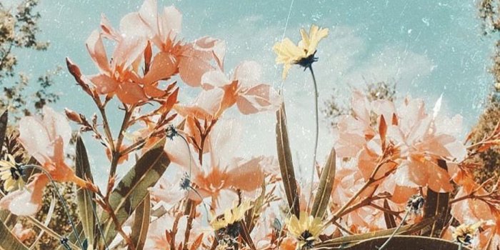 931x1155 OS Wallpapers on X: 