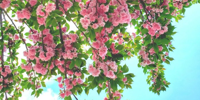 1000x1333 Spring Aesthetic Pictures | Download