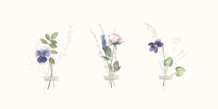 1600x900 Spring Wallpapers for Your Phone and