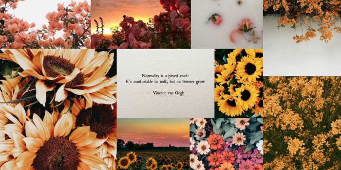 1905x1191 Sunflower Spring Aesthetic Wallpaper