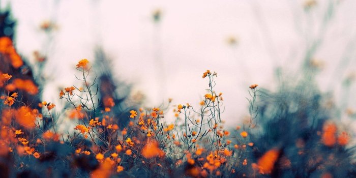 1920x1108 Spring Wallpaper - MrWallpaper