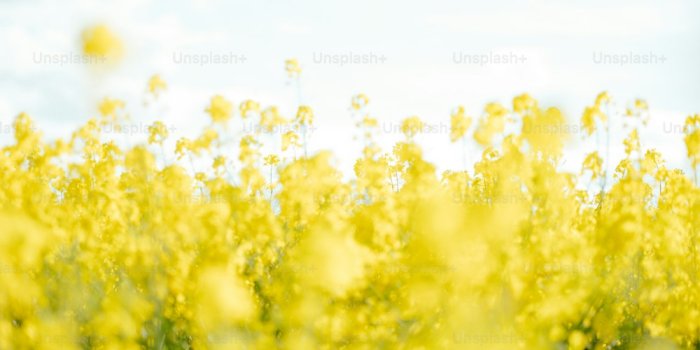 1000x1334 Spring Aesthetic Pictures | Download