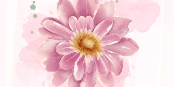 900x1600 Spring Aesthetic Phone Wallpaper