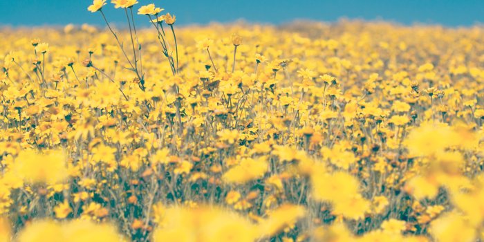 8192x5461 Aesthetic Spring Desktop Wallpapers