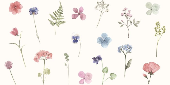 1600x900 Spring Wallpapers for Your Phone and