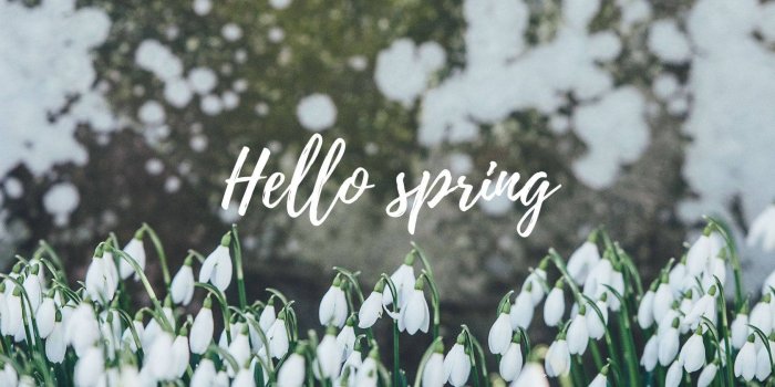 1680x1050 100 Free Spring Desktop HD Wallpapers