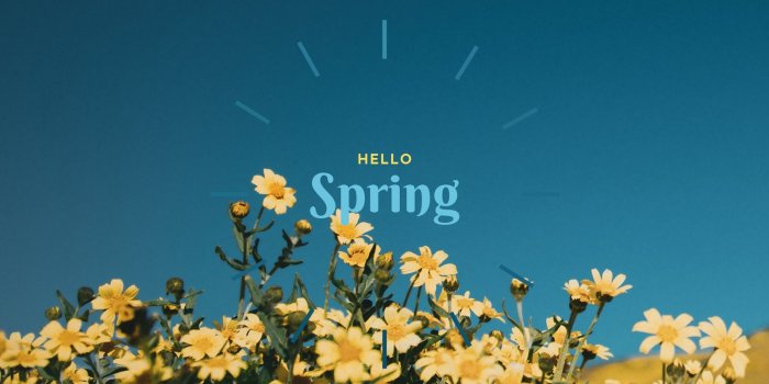 1600x900 spring desktop wallpaper templates