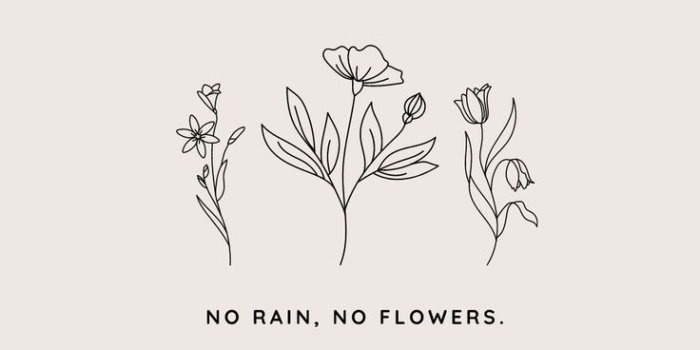 736x1104 Elegant Spring iPhone Wallpaper