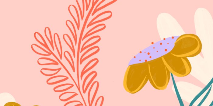 1080x1920 Blooming Spring Wallpapers