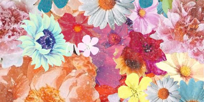 736x1278 WALLPAPERS | Twisted Backgrounds