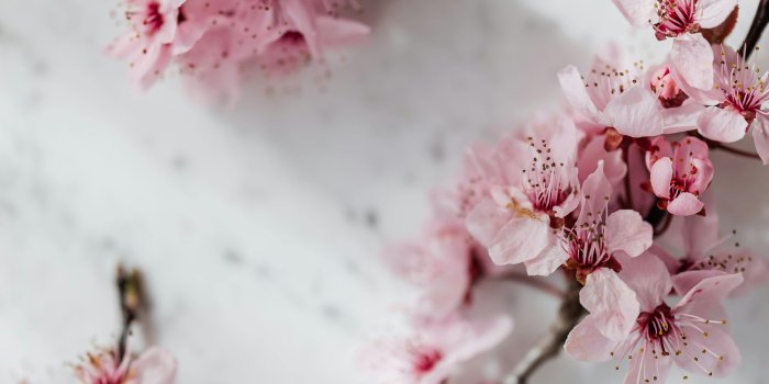 4480x6720 Aesthetic Wallpaper Photos, Download