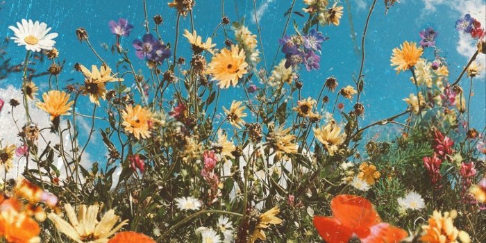 1440x900 Cozy Spring Aesthetic Laptop Wallpapers