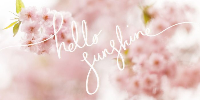 1920x1107 Aesthetic Spring Wallpapers Full HD