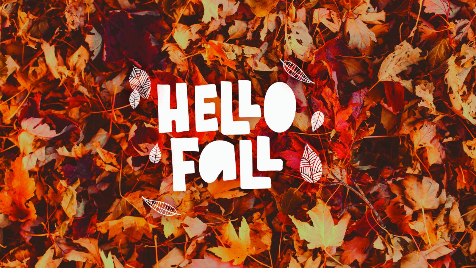 1920x1080 Free Fall Phone and Computer