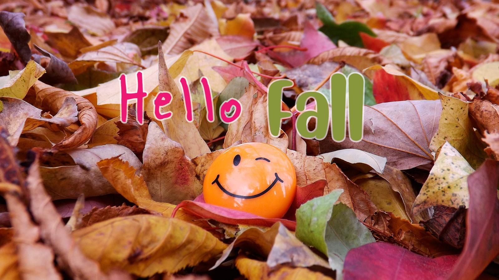 2560x1440 Cute new Hello Fall images - YouLoveIt.com