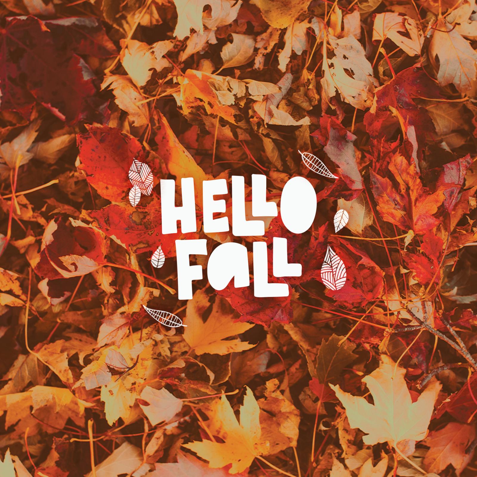 2048x2048 Free Fall Phone and Computer