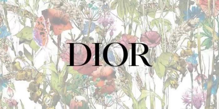1080x1920 dior wall print collage iphone