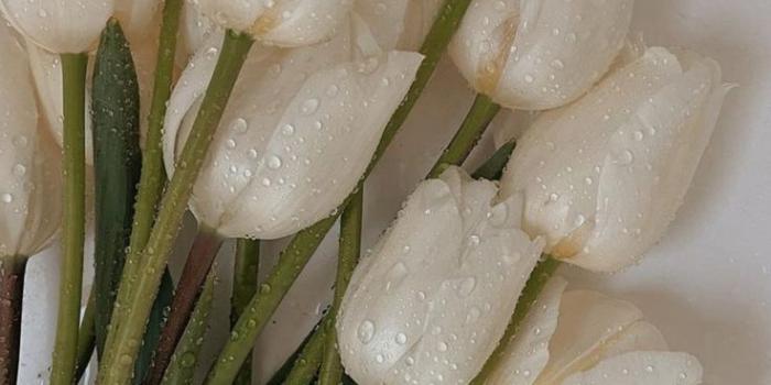 736x1308 Clean girl wallpapers