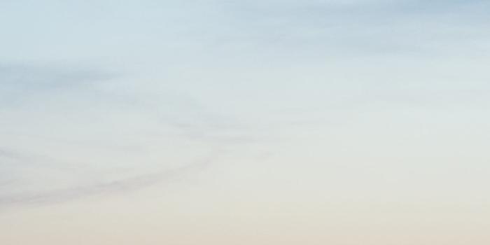 1350x2400 Clean Girl Wallpapers