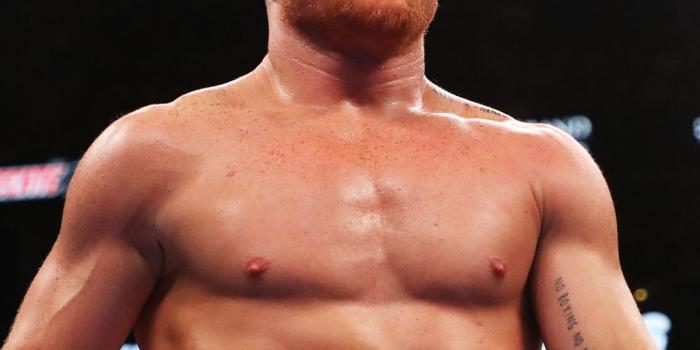 1080x1920 Canelo Álvarez Wallpapers - Top 12 Best