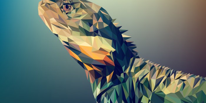 7200x4800 Lizard Backgrounds For Mac | Vector art