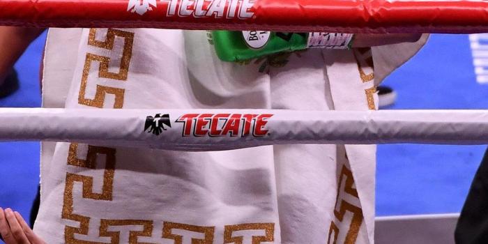 1125x2436 Canelo Alvarez next fight Mexican on