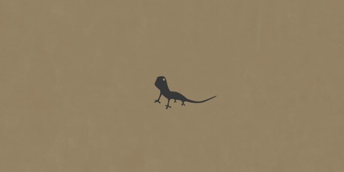 2560x1600 ah56-lizard-brown-animal-minimal-simple-art