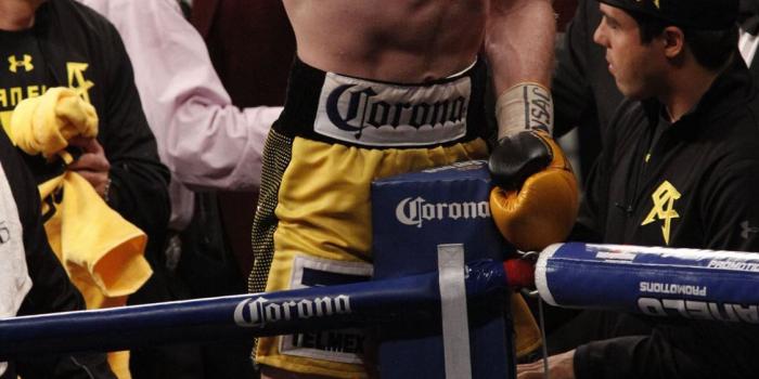 1125x2436 Best Canelo alvarez iPhone X HD