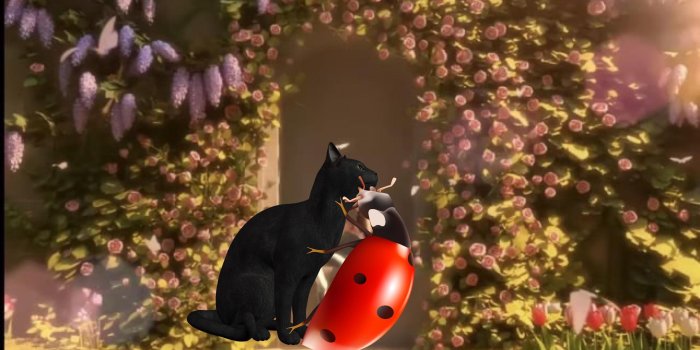 2288x1280 nice wallpaper : r/miraculousladybug